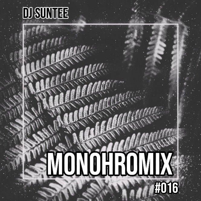 DJ.ru Радио-шоу: Dj Suntee — MonohroMix #016 episode artwork
