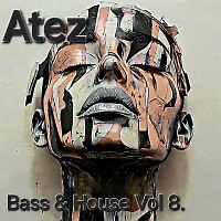 Bass & House Vol 8.