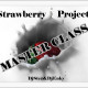 Strawberry project(DjStez&DjEnky)-master class(mix)