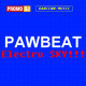 Pawbeat - Electro Sky (ALBUM DEMO EDIT)