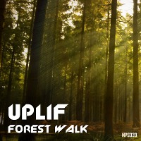 Forest Walk by UPLIF