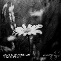 GRUE & Markus Luv - Something (Original Mix)