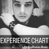 EXPERIENCE CHART #001