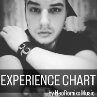 EXPERIENCE CHART #001