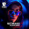 Flight 3033