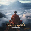 Tibetan motifs