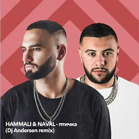 Hamalli & Navai - Птичка (DJ Andersen Radio Remix)