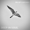 DEEP IN SOUL / DR.SPY.DER MIX 2025