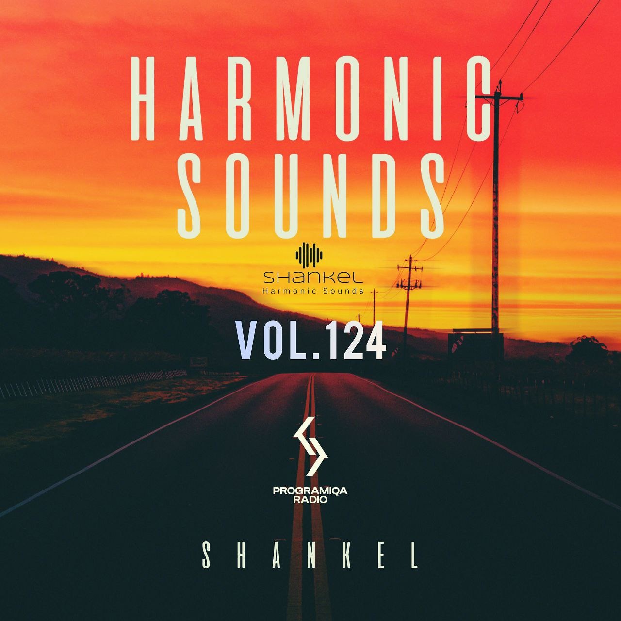 DJ.ru Микс: Shankel — Harmonic Sounds. Vol.124 episode artwork