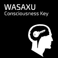 Consciousness Key