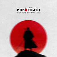 Инкогнито - Самурай (Denis Bravo x Bordack Radio Edit)