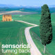 Sensorica - Turning Back