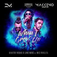 Dimitri Vegas & Like Mike feat. Wiz Khalifa vs. Victor Kuestta - When I Grow Up (Makkeno Mash-Up)