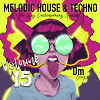 Melodic House & Techno 15