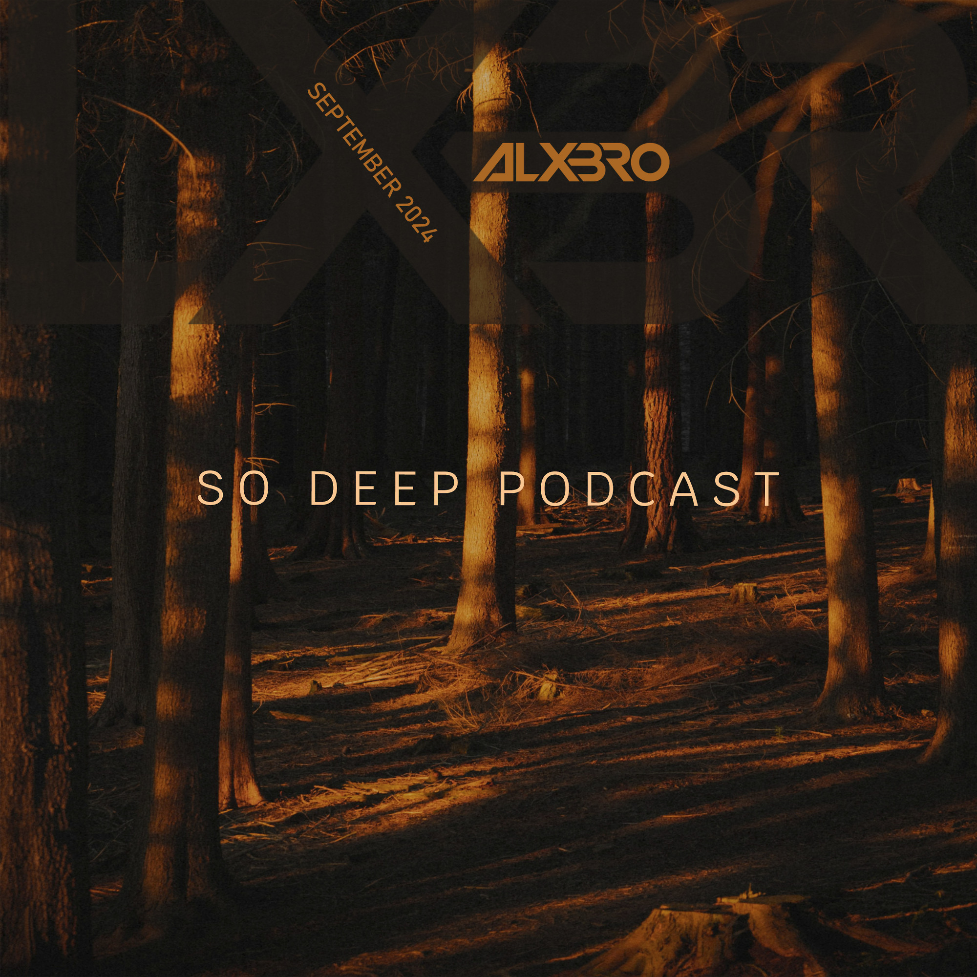So Deep Podcast (September 2024)
