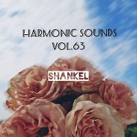 Harmonic Sounds.Vol.63 (Live set from ProStereo studio)