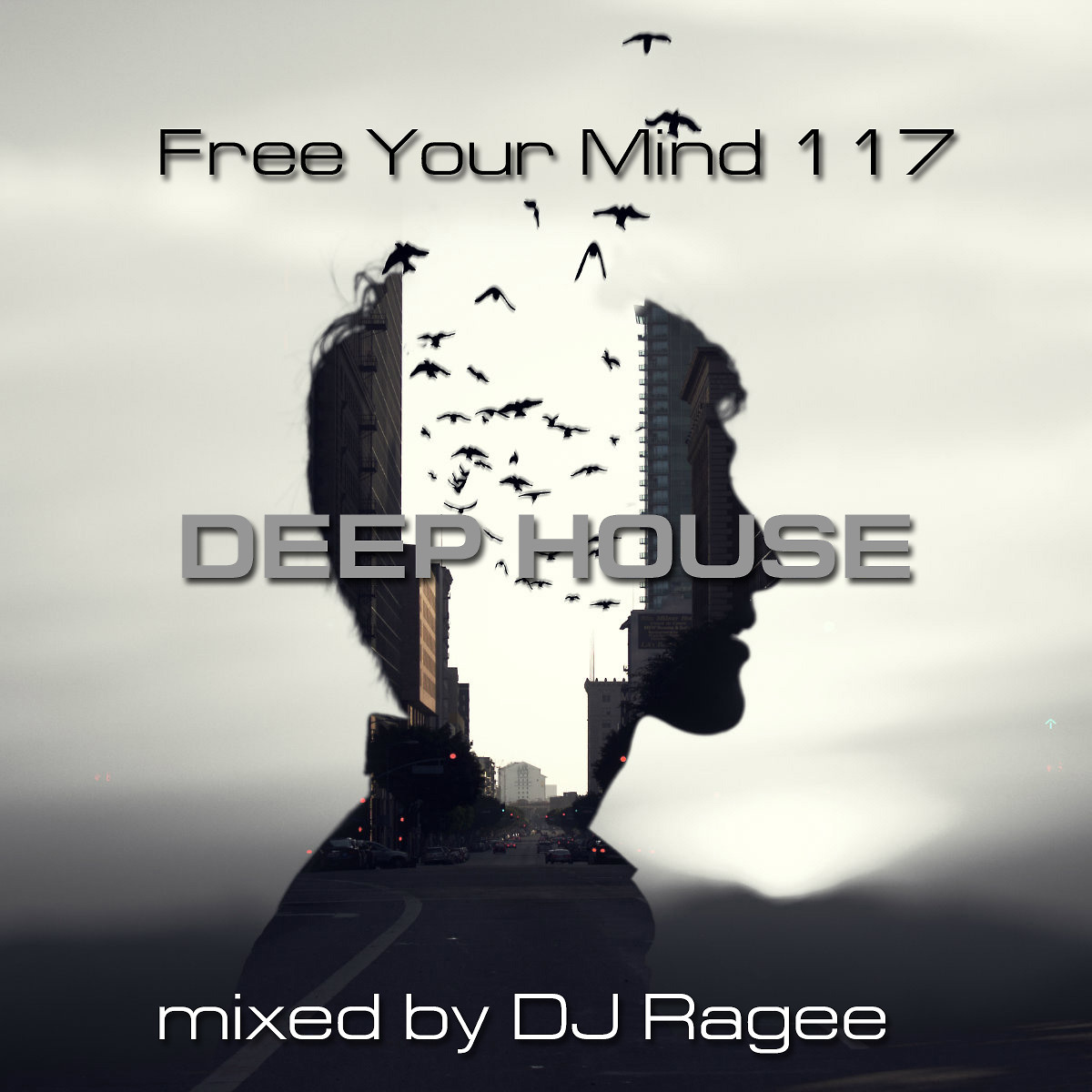 DJ.ru Подкаст: djragee — Free Your Mind 117 (Deep House) episode artwork