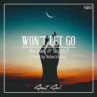 Alex Hook feat. Shyam - Wont Let go (Anton Ishutin Remix)
