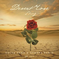 Sting - Desert Rose (Kolya Funk & Shnaps Extended Mix)