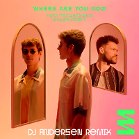 Lost Frequencies & Calum Scott Where - Are You Now (DJ Andersen Radio)
