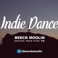 INDIE DANCE ONLY MIX 2024 vol. 5