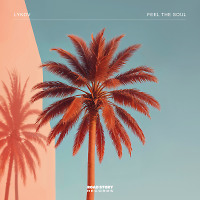 Feel The Soul (Extended Mix) [Road Story Records]