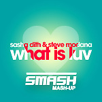 Sasha Dith & Steve Modana - What Is Luv (Smash Mash-Up)