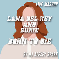 Live mashup - Born to Die by DJ Alexey Spark