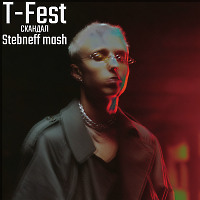 T-Fest - Скандал