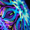 Algorithm - Private Space Family #72 (06-23)