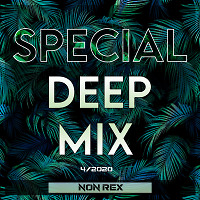 Special Deep Mix - 4 (2020)