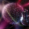 Little Deep Planet 2