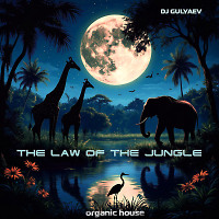 The law of the jungle