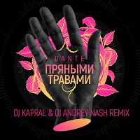 Dante - Пряными травами ( DJ ANDREY NASH & DJ KAPRAL REMIX )