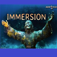 Immersion (mix 2022)