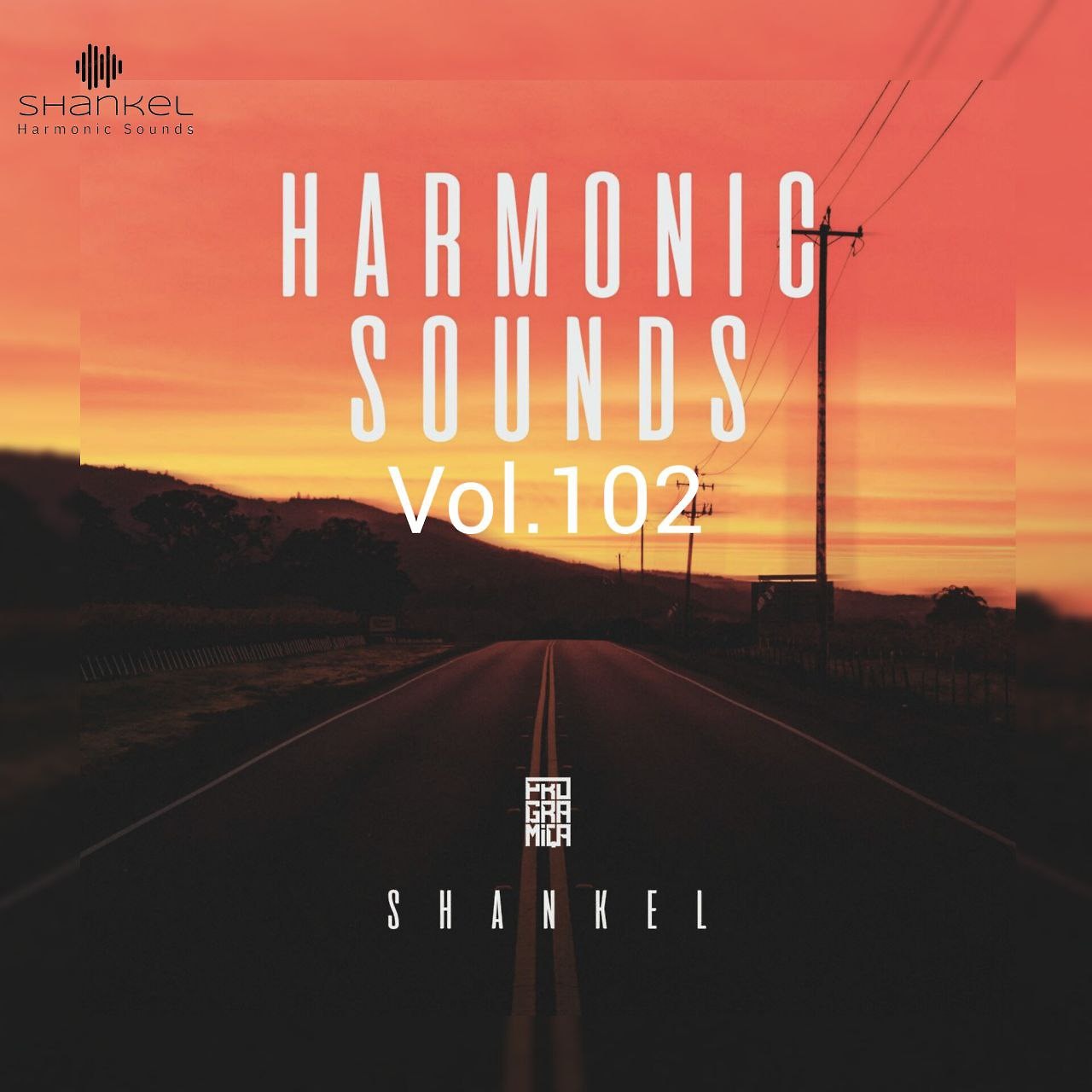 DJ.ru Микс: Shankel — Harmonic Sounds. Vol.102 episode artwork