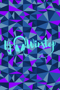 DJ Winstep