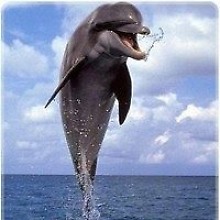 Сергий Шамудило