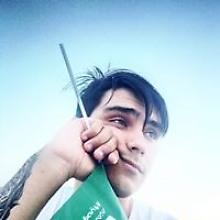 Станислав Низамов