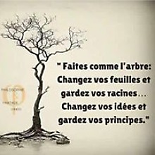 Cortex Minuss Minuss Cortex
