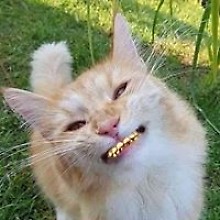 Максім Дудник