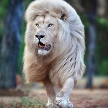 Сергей Бабенко