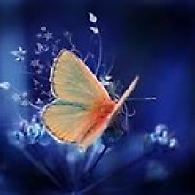 Mounir Elbeji