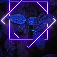 Сергей Даниляк