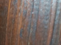 Сережа Оля Маляр