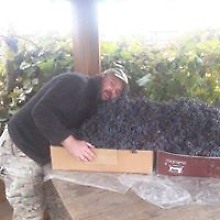 Игорь Меланич