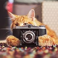 Иванка Стець