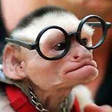 Василий Ветров