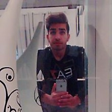Hamza Wilshere