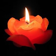 Анна Правик